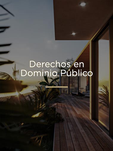 Dominio Publico